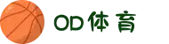 OD体育路夜市发展股份有限公司-打造夜间体育经济新标杆