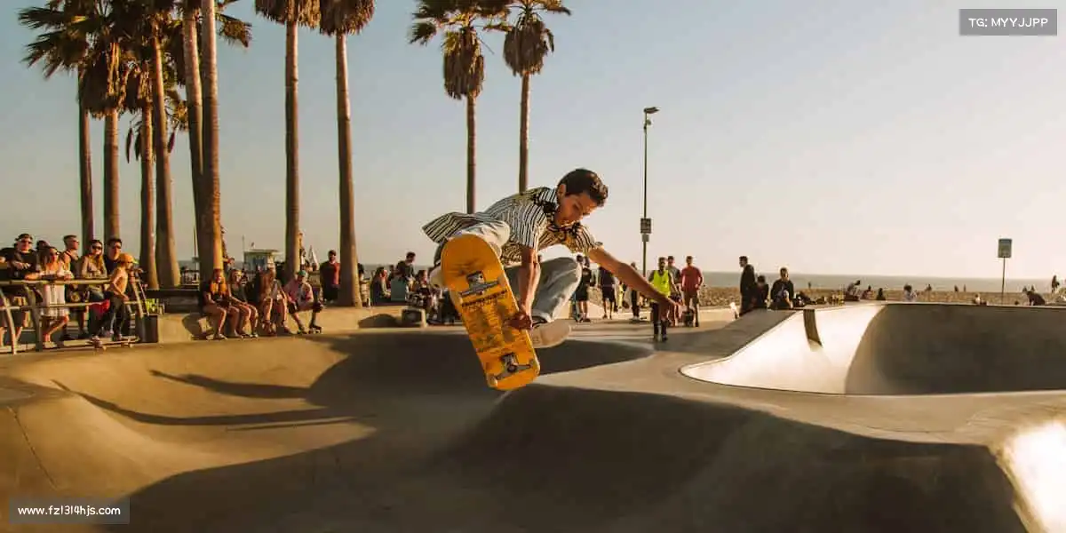 行业领先的理由